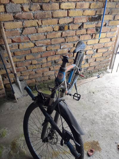 cycle for sale