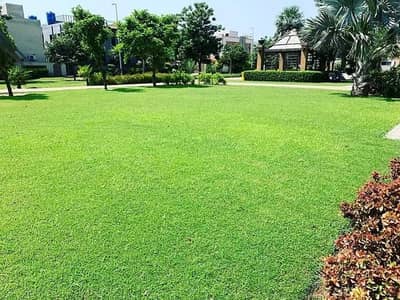 4 Marla Commercial Plot At New Gate Opposite CA Town Eimnabad Road City Housing Skt.