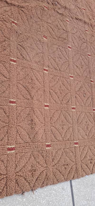 Carpet for Sale 12x16