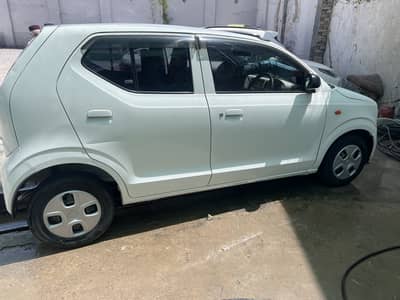 Trump alto 2018 contaniry