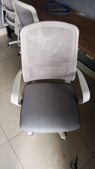 Office Chairs 15 in total