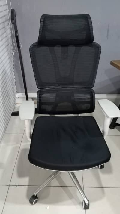 Executive Chair is for Sale