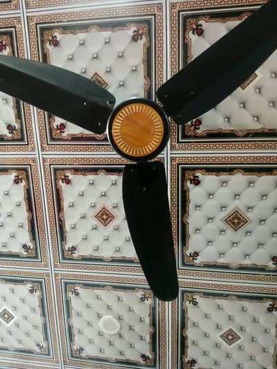 Ceilling Fan