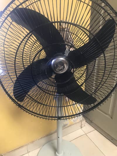 Fan fo sale