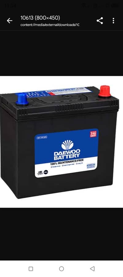 Daewoo Maintenance Free Batteries one year warranty.