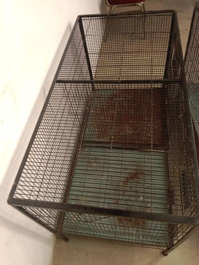 cage acha size 4by2by2by