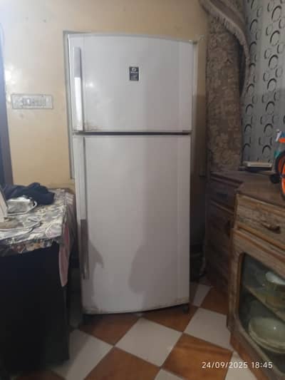 full size dowalnce fridge