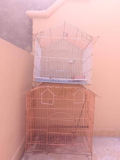 animal 2 cage