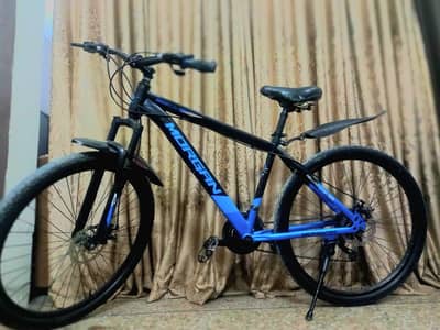 28 SIZE RARE GENIUEN MORGAN