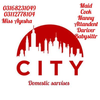 Maid, Babysitter, Patient attendant, Cook