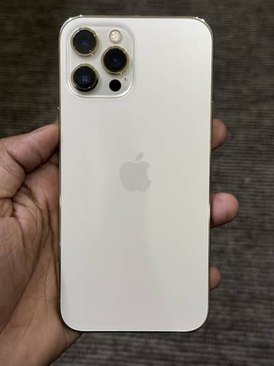 12 promax pta approved