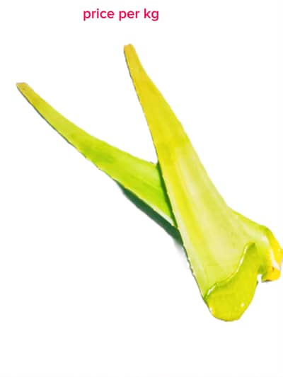 100% Organic Fresh Aloe Vera Leaves - Cut Fresh on Order