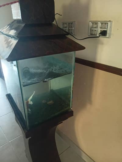 aquarium in cheap price