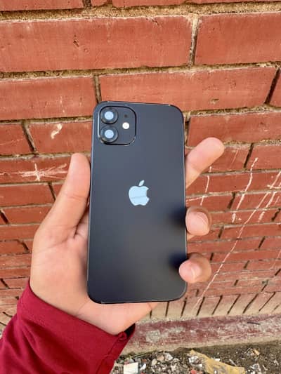 iPhone 12 PTA approved