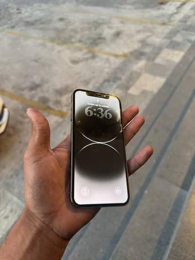 Iphone 12 pro pta approved