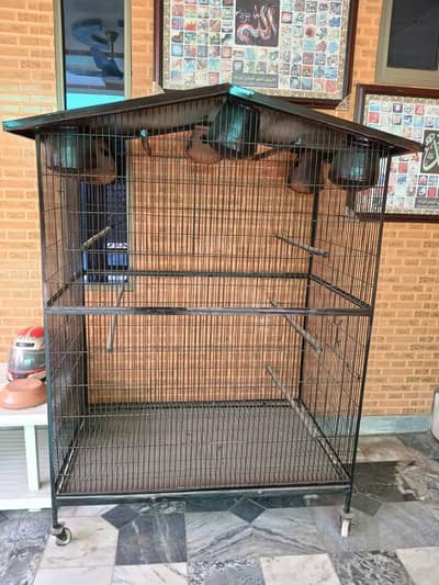 Bird Cage