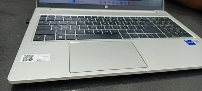 HP  Pro Book 450 G8 conditions, 10/101