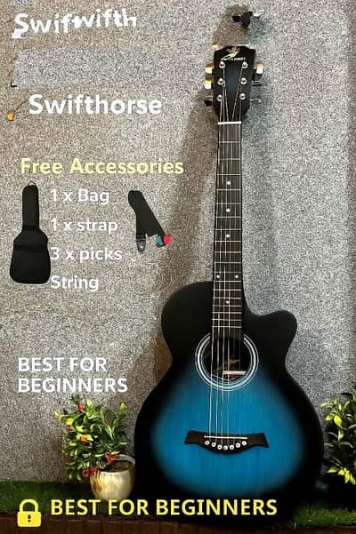 Guitar  Black & Blue Acoustic Guitar for Sale Mint Condition