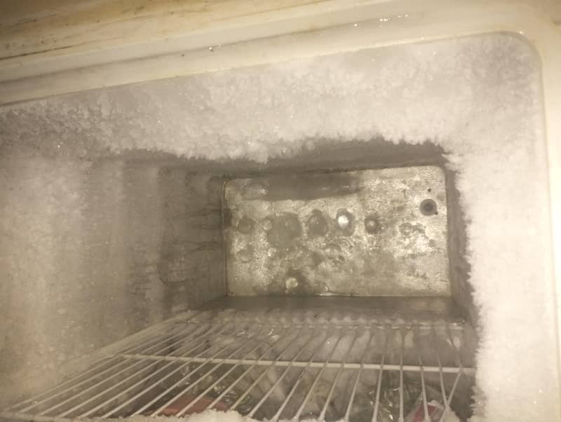Freezer 1