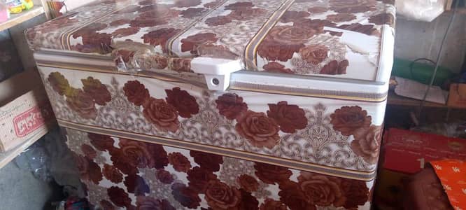 1 year used freezer  pel prezer