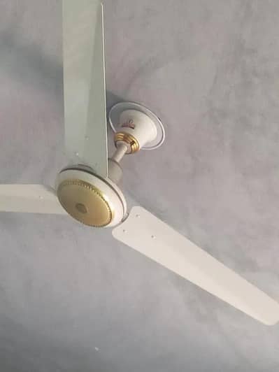 Indus fan 100% copper