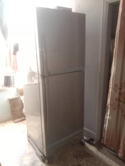 fridge pel big size