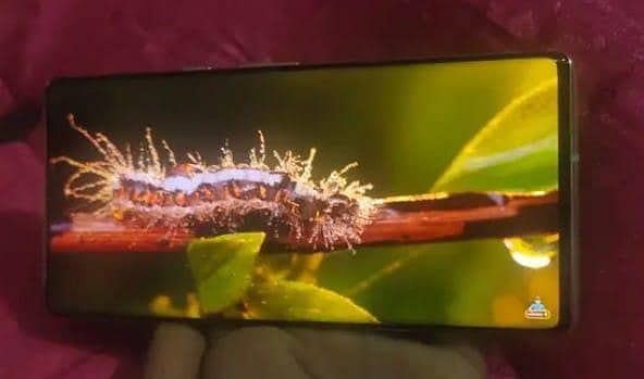 Google pixel 6 pro 0