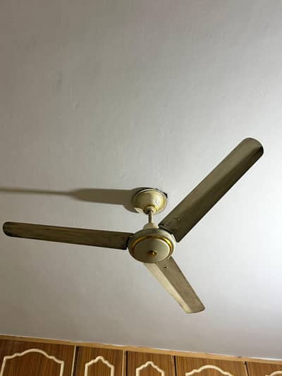 Two Ceiling Fan