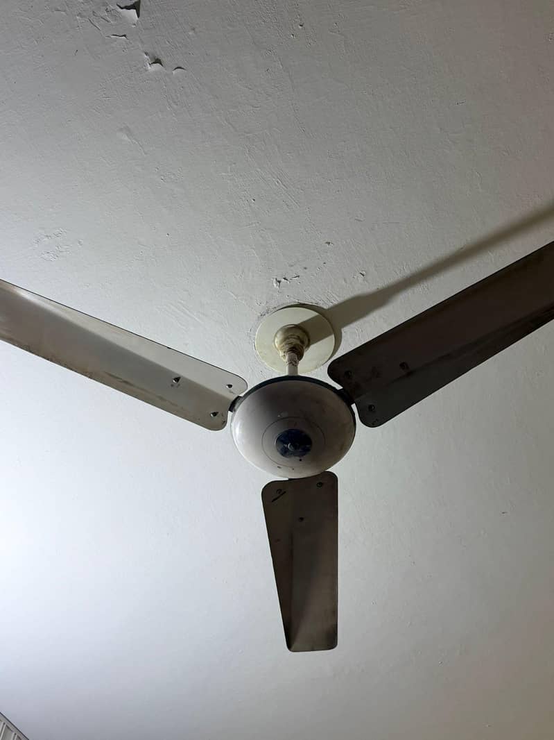 Two Ceiling Fan 1