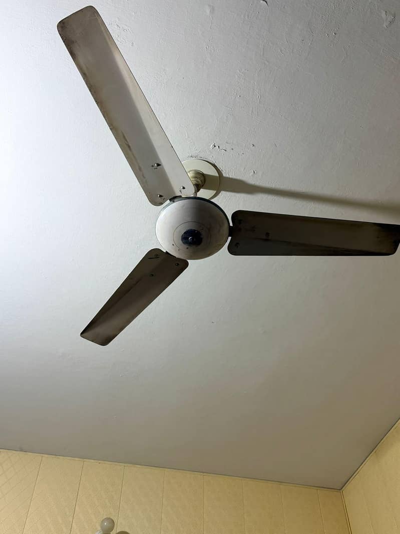 Two Ceiling Fan 2