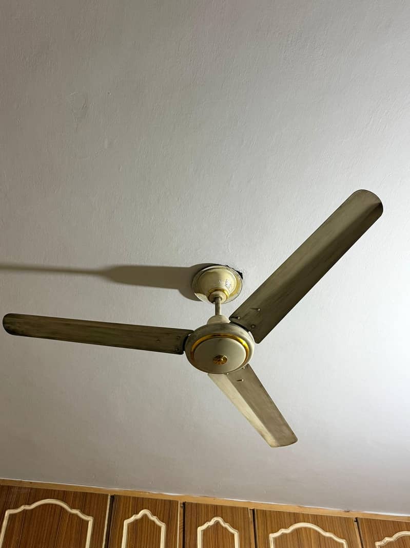 Two Ceiling Fan 3