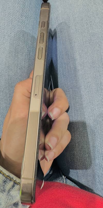 iPhone 16 pro max 256 GB factory unlocked