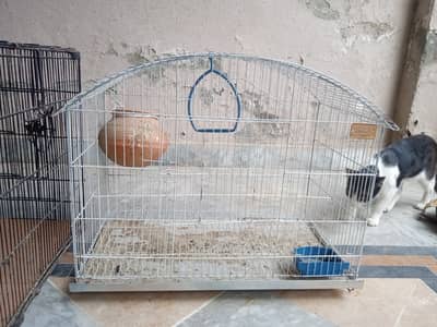 birds cages for sale at affordable prices