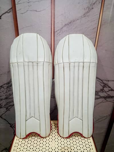 Wicket Keeper Pads