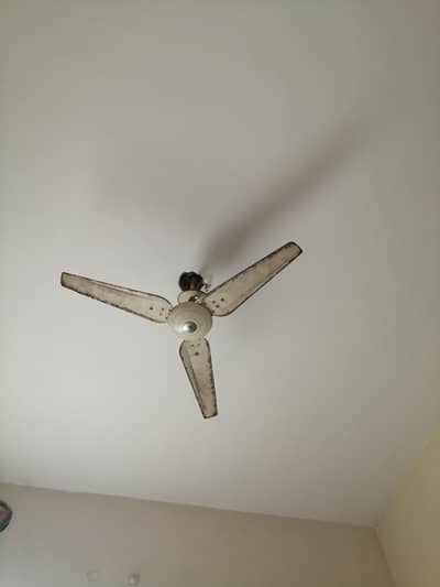 ceilings fan