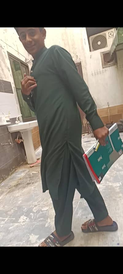 free international dog