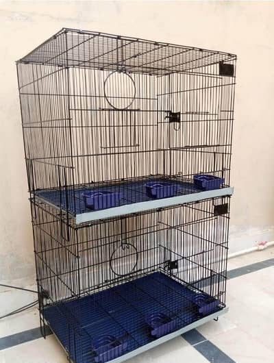Parrot Cage