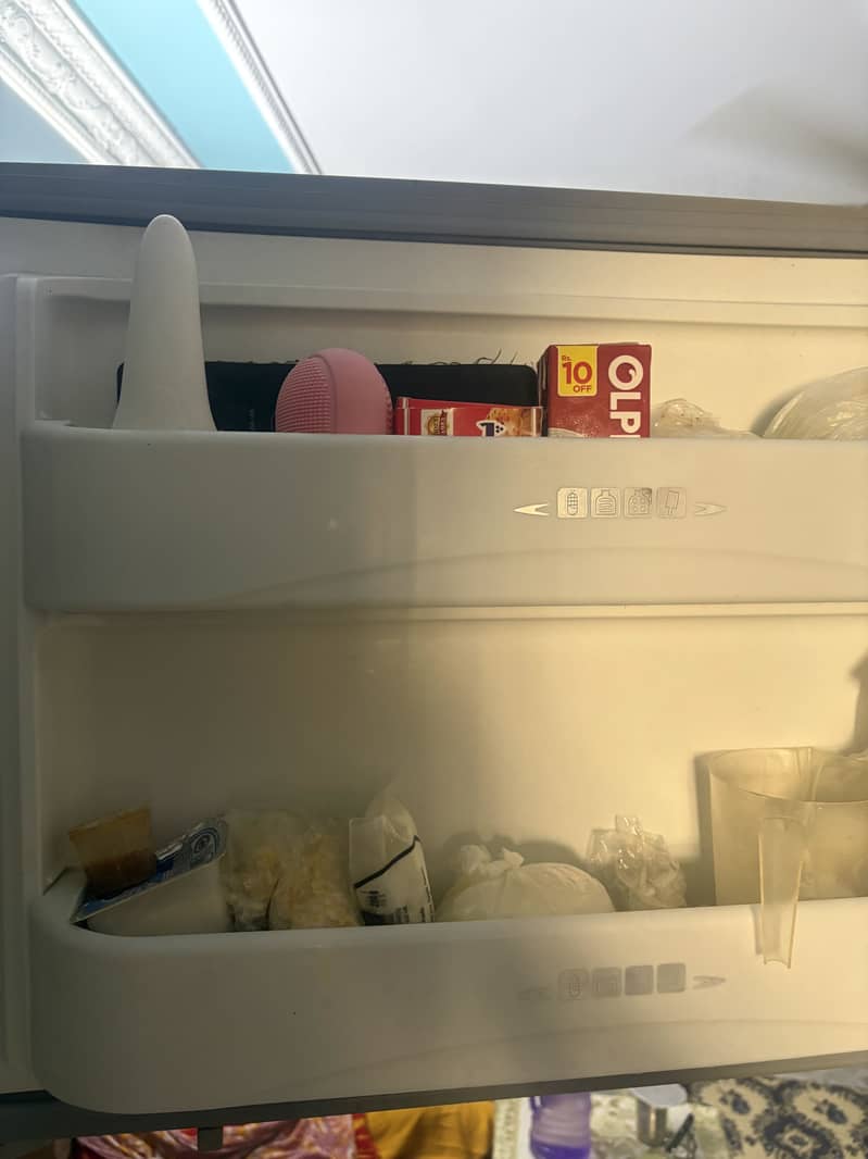 Dewlance fridge 2