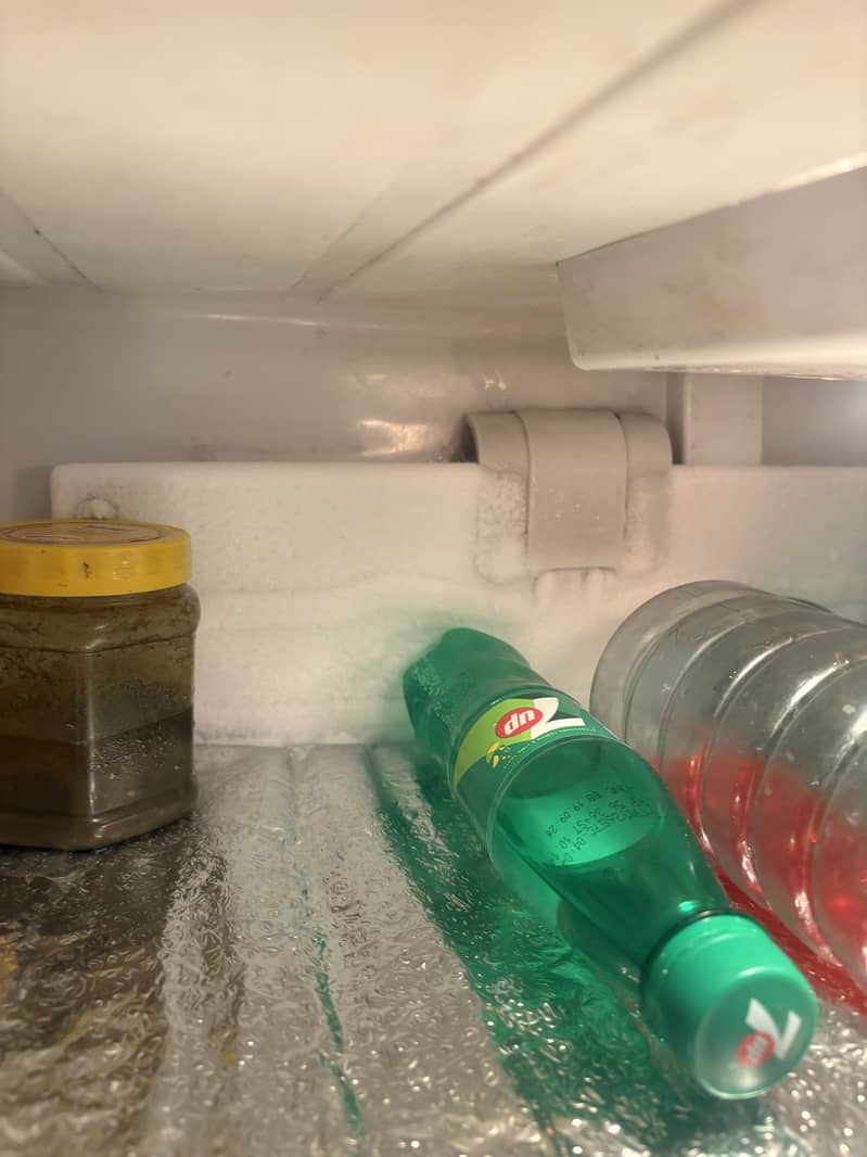 Dewlance fridge 8