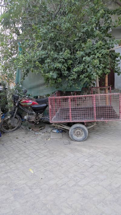 chinchi loader for sell!