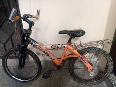 “Lion King Sports Cycle – Strong Frame, Good Condition – For Sale”