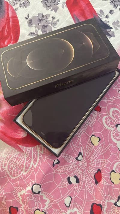 12 PRO MAX (ROSE GOLD]