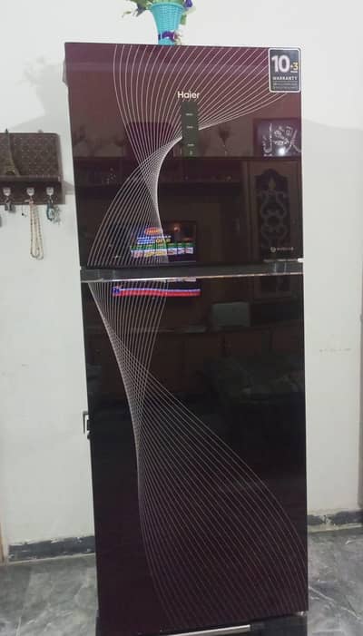 Haier Refrigerator 10 year warranty