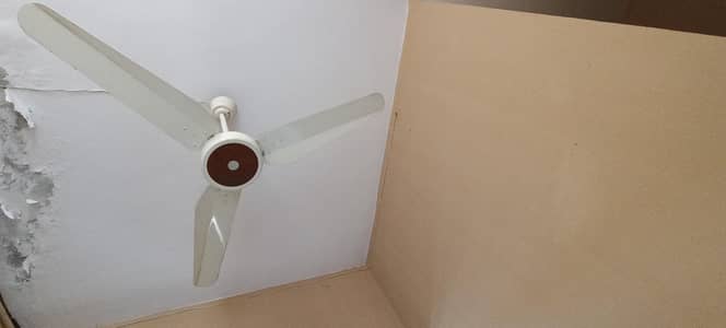 Original Pak Fan 5 Avl