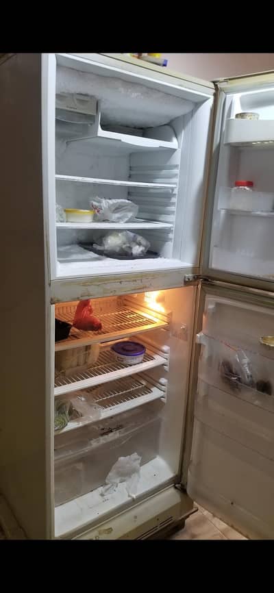 Refrigerator / Fridge / PEL