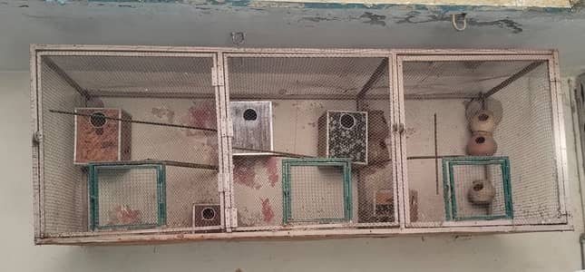 Cage/Birds Cage/Iron Cage/3 Portions Cage
