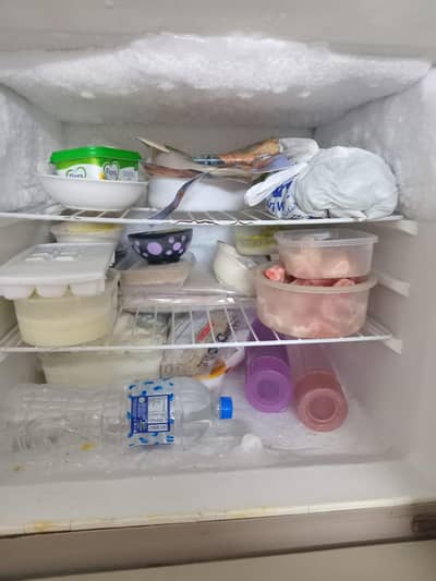 Haier refrigerator