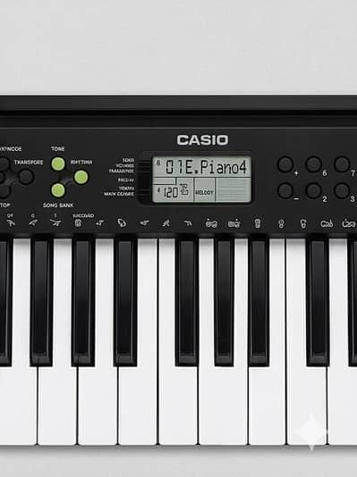 CASIO CTK-245 Good As New