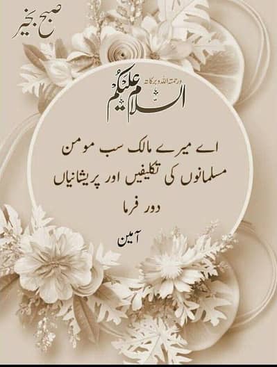 new king set  cookware