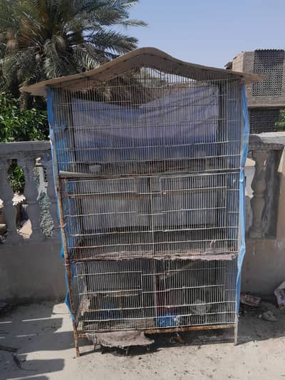 cage | iron cage | birds cage | hens cage | penjara | portions cage